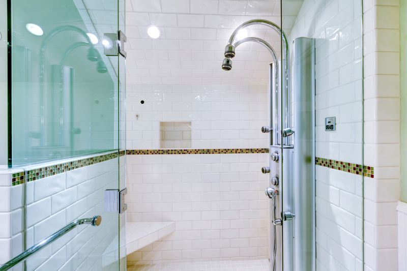 Glass Shower Door